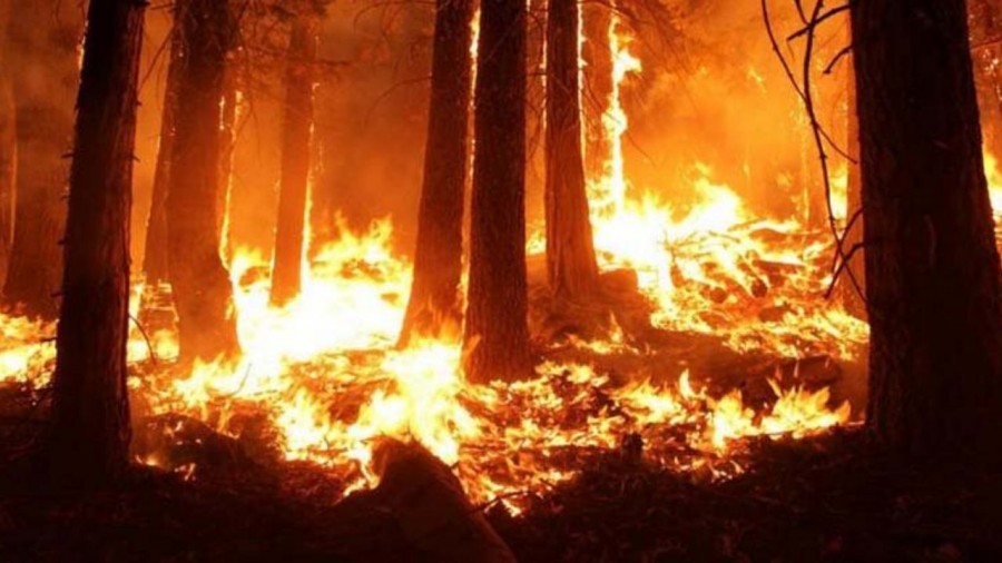 A la baja los incendios forestales en el Estado de México