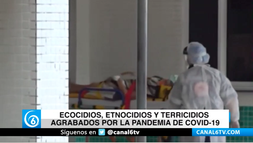 Ecocidios, etnocidios y terricidios, agravados por la pandemia de COVID-19