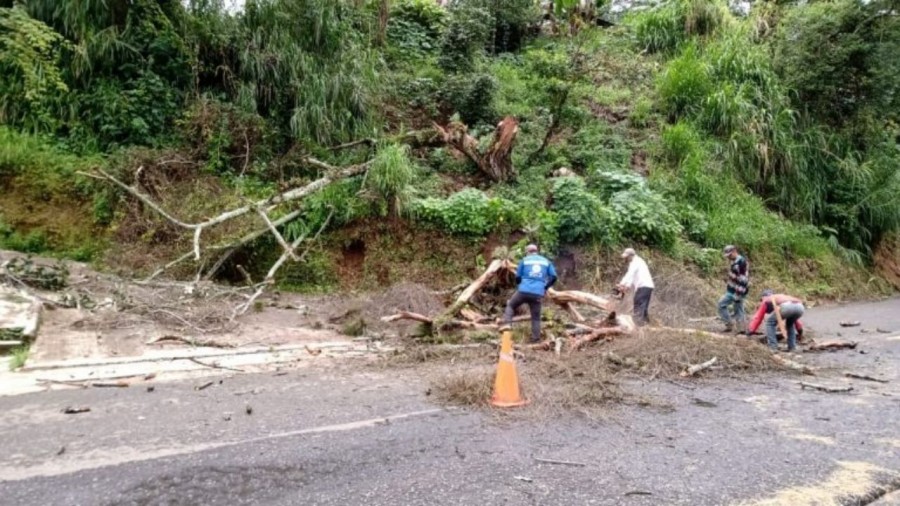 Fuertes lluvias dejan 11 municipios afectados y tres muertos