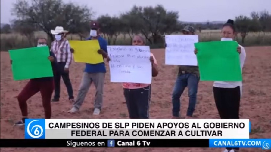 Campesinos de SLP piden apoyos al gobierno federal para comenzar a cultivar