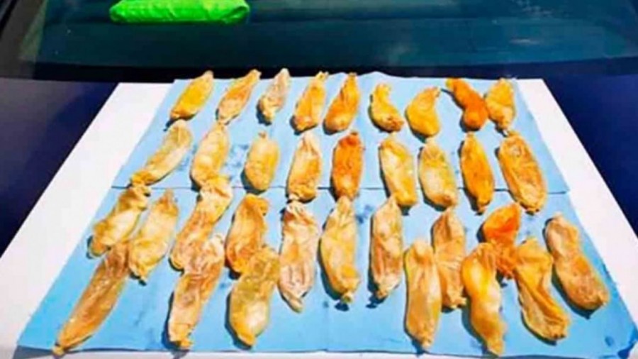 Con 150 cápsulas de cocaína líquida, detienen a cinco personas en Coyotepec