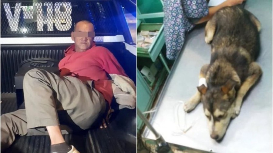 Dan un año de cárcel a violador de perrita Mati en Nezahualcóyotl
