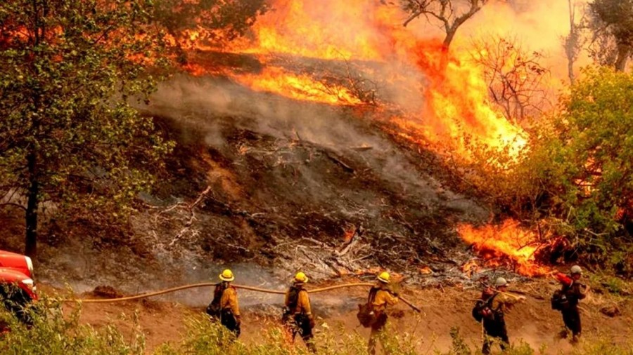 Record de incendios forestales en California