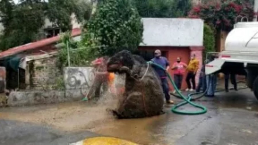 Recolectan 20 toneladas de basura en el drenaje de la CDMX