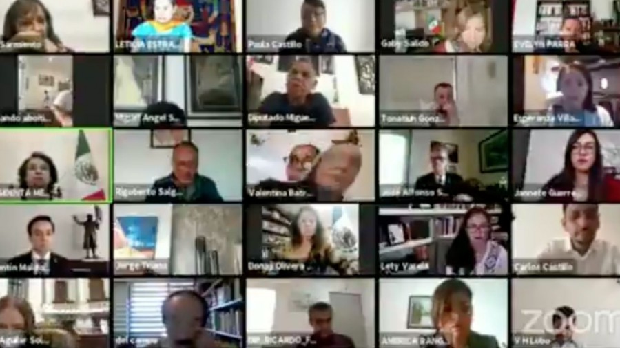 Diputada intentó simular su presencia en una reunión por Zoom