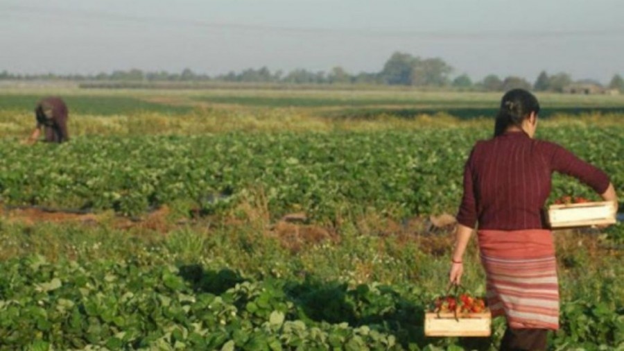 Las mujeres rurales, el sector más afectado por la crisis económica