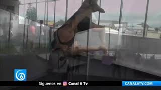 Pole GSK en Chalco te invita a conocer sorprendentes disciplinas deportivas