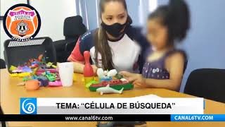 Entrevista | Todo lo que tienes que saber de las células de búsqueda