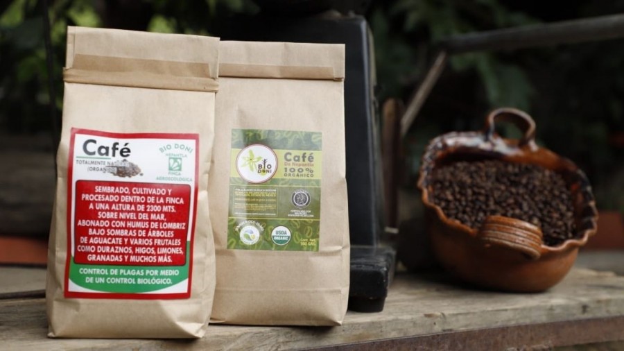 Preparan la Expo Café Mexiquense