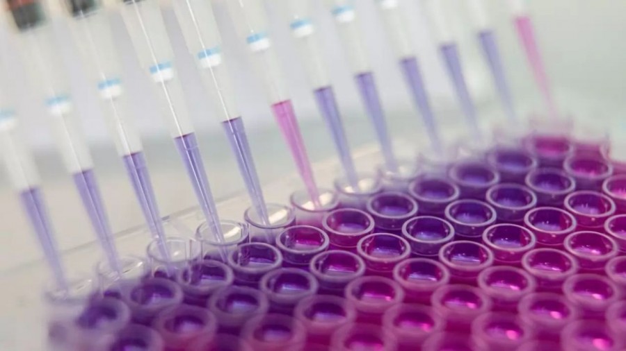 Rusia patenta su segunda vacuna contra el coronavirus