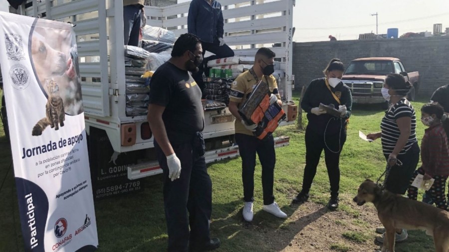 Donan 33 toneladas de comida para gatos y perros en la CDMX