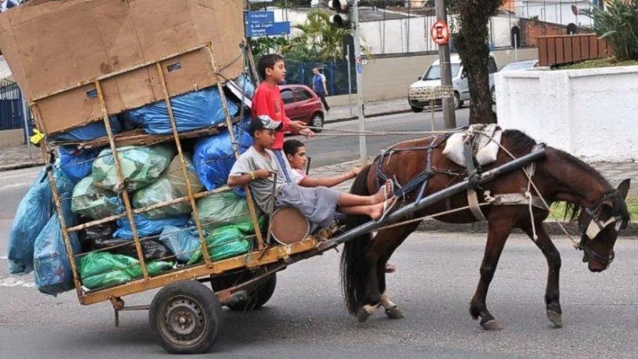 Buscan prohibir la explotación animal en el EdoMex
