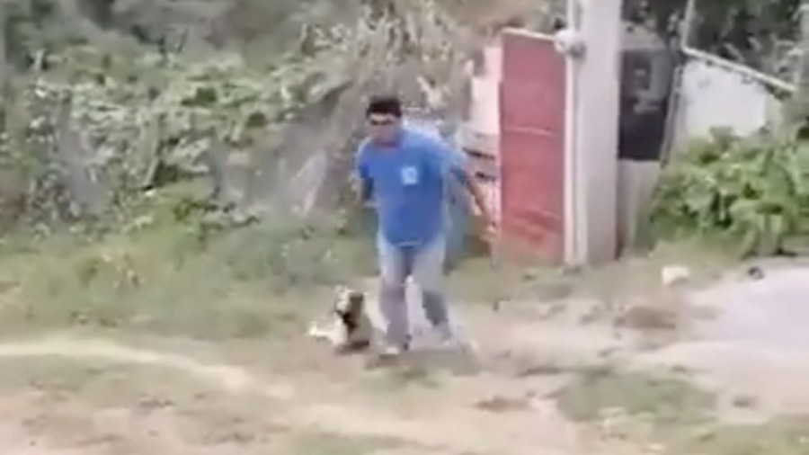 Investigan a hombre que macheteó a perrita en Ixtapaluca