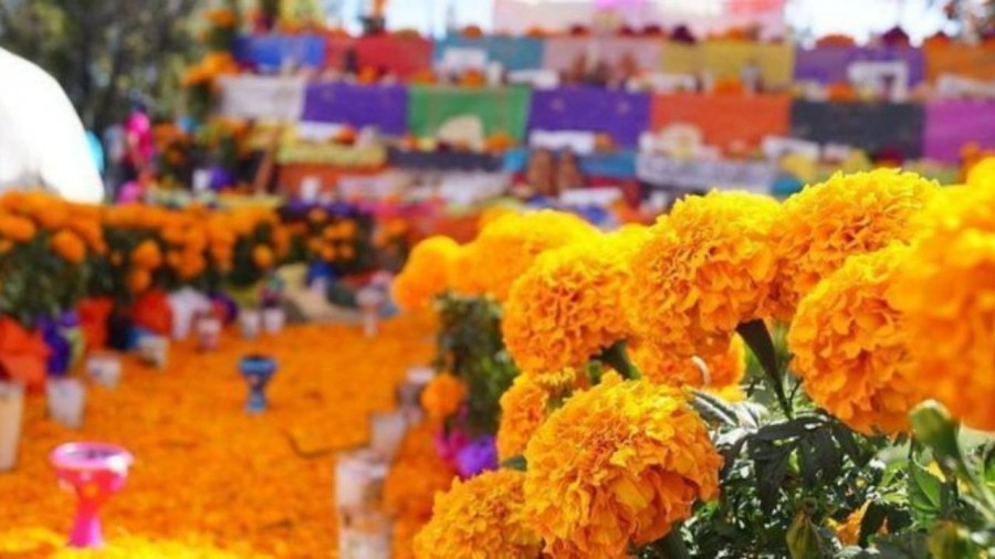 Estiman perdidas millonarias por la cancelación de Día de Muertos