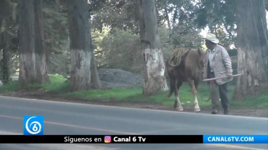 Campesinos de Río Frío son afectados por bajas temperaturas, piden apoyo a las autoridades