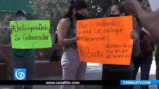 Asociaciones contra maltrato animal se manifiestan en Ixtapaluca para pedir justicia por Masha