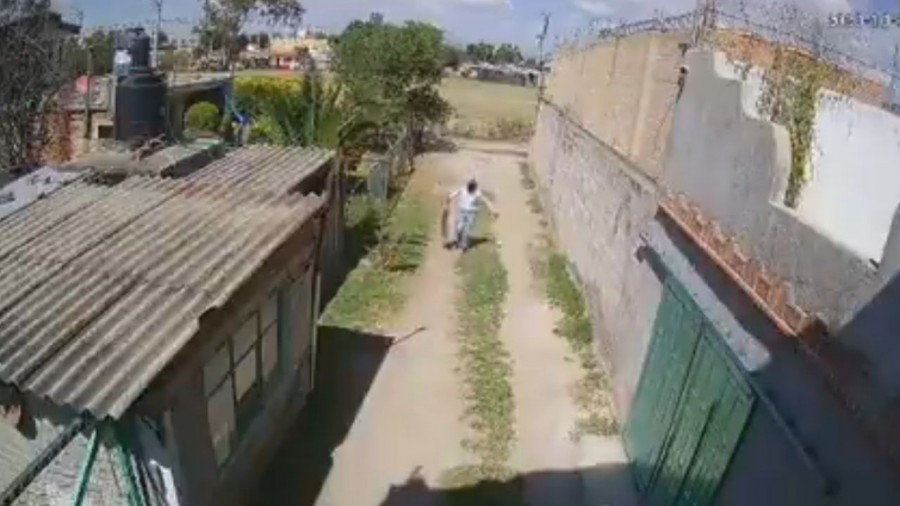 Indagan a presunto disecador clandestino en Texcoco