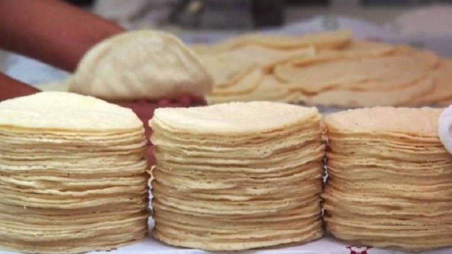 Pronostican un alza en el precio de la tortilla