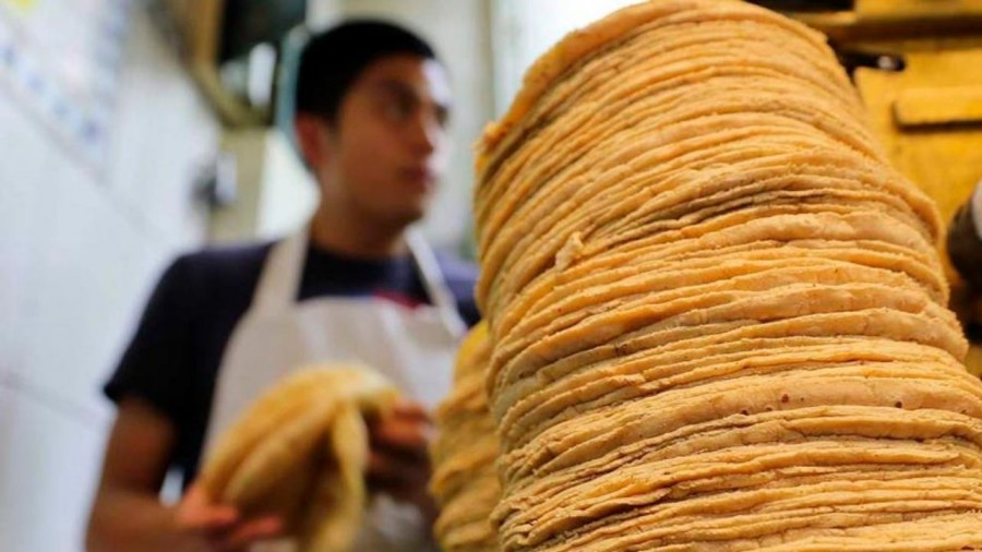 En Edomex no subirá precio de tortilla: Nemesio Figueroa