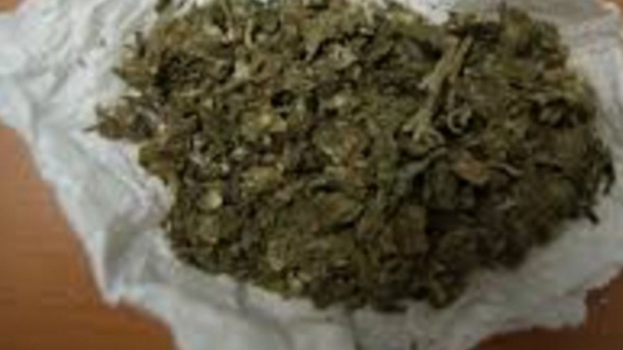 Proponen aumentar el gramaje aceptable para portar marihuana