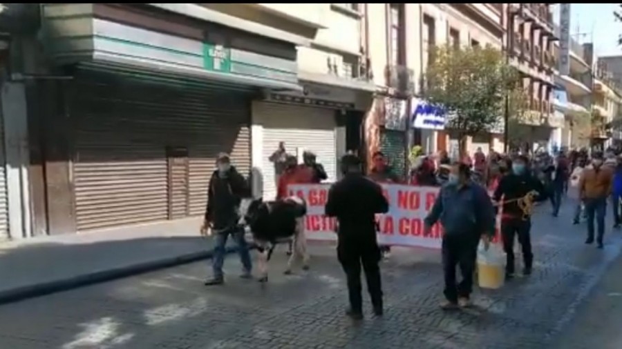 Protestan productores agrícolas en Zócalo ante falta de apoyos