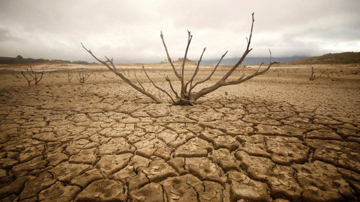 El mundo sufrirá un aumento de escasez de agua en años venideros: MCKINSEY