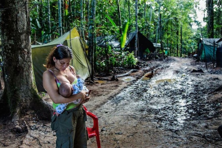 Las FOTOS ganadoras del World Press Photo 2019