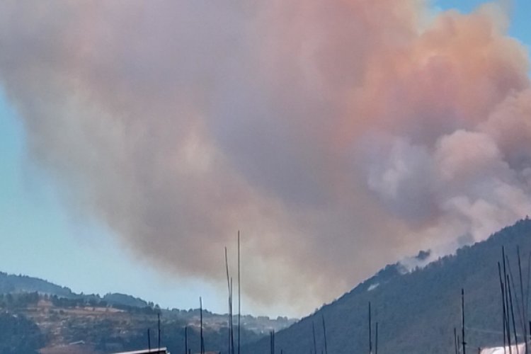 Incendio forestal consume seis hectáreas de bosque en Huixquilucan