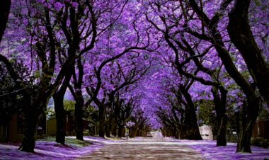 ¡A guardar las cobijas! inició el equinoccio de primavera