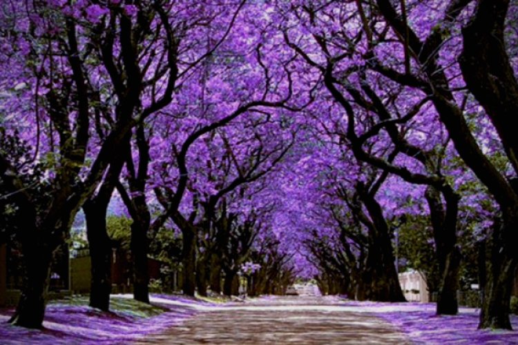 ¡A guardar las cobijas! inició el equinoccio de primavera