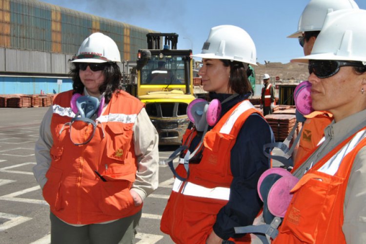 8 de cada 10 personas que perdieron su trabajo por pandemia, eran mujeres