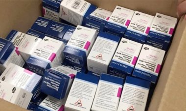 No descansaremos hasta tener los medicamentos para niños con cáncer: AMLO