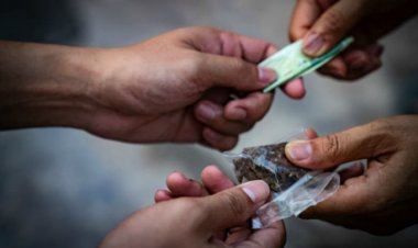 Pandemia aumentó consumo de drogas entre menores de edad