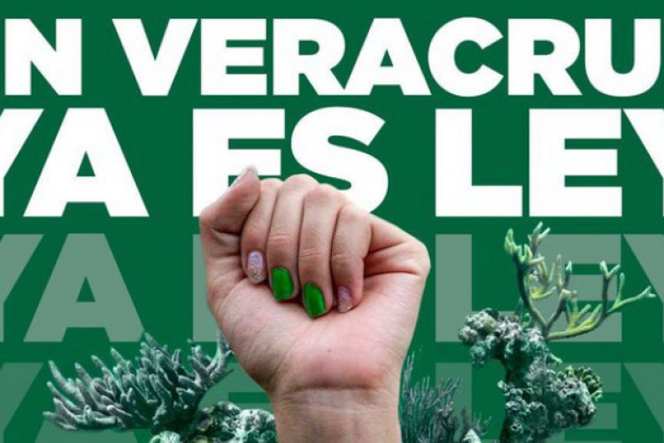 ¡Otro más! Congreso de Veracruz despenaliza el aborto