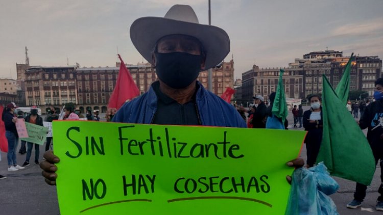 Campesinos de Morelos demandan a AMLO fertilizante prometido