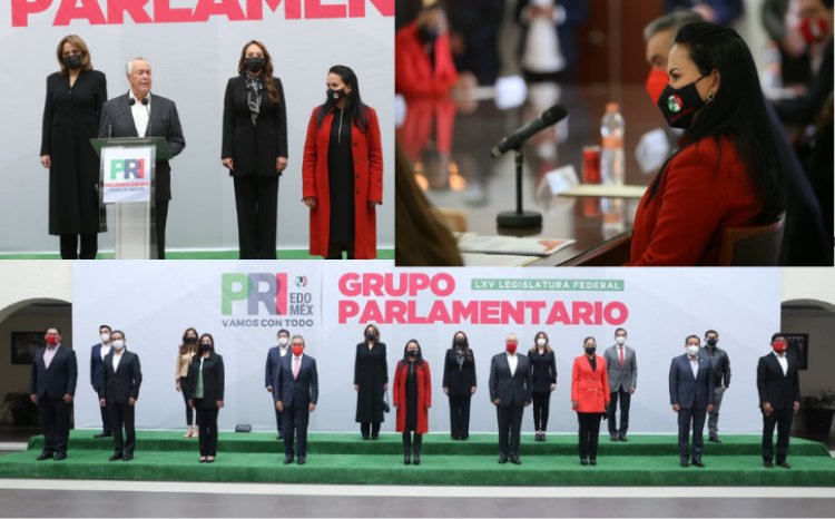 Gerardo Cárdenas es el nuevo coordinador del PRI en la legislatura federal