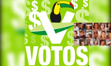 40 mdp pagará el PVEM por contratar influencers durante la veda electoral