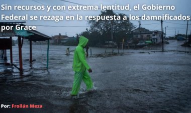 Sin recursos y con extrema lentitud, el Gobierno Federal se rezaga en la respuesta a los damnificados por Grace