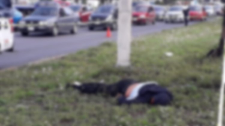 Hombre muere atropellado en Av. central, en Nezahualcóyotl
