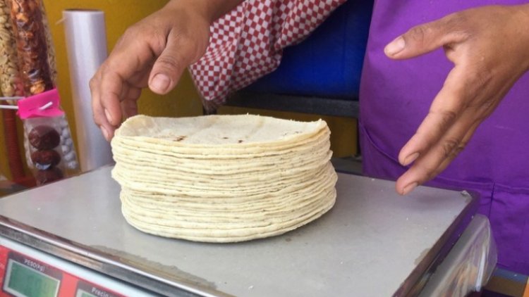 En tan solo dos meses, precio de tortilla aumentó 15.1 por ciento