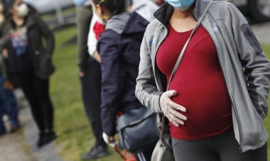 2020 dejó sin trabajo a la cigüeña