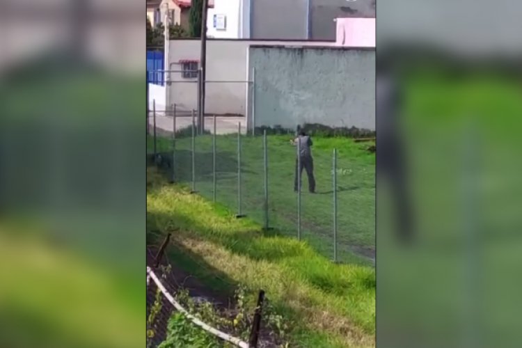 Video: a balazos, servidor público de Tultepec mata a perrito