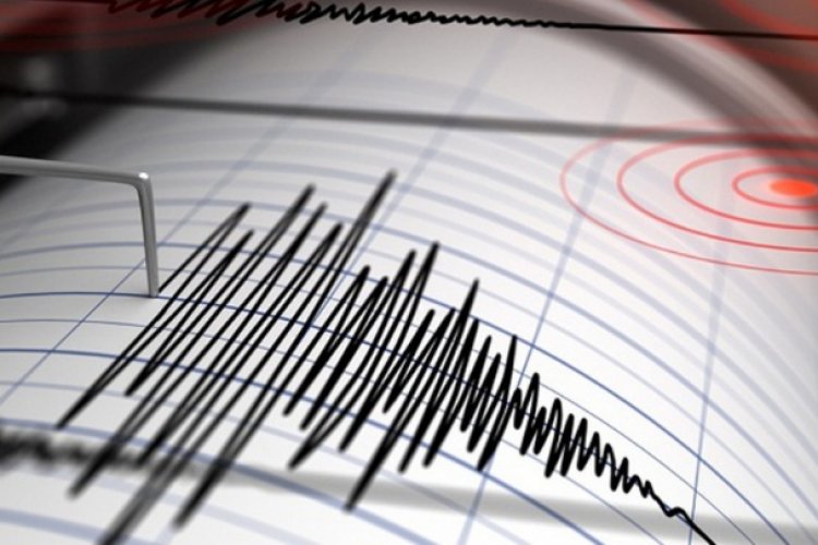 Van 772 réplicas del sismo en Acapulco