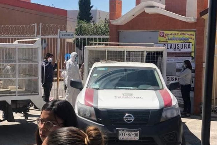 Cae violador de animales en Tecámac