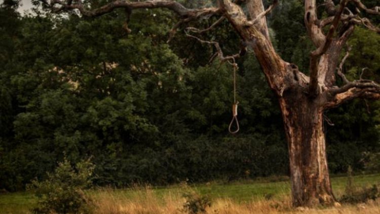 Hallan a joven colgado de árbol en Ecatepec