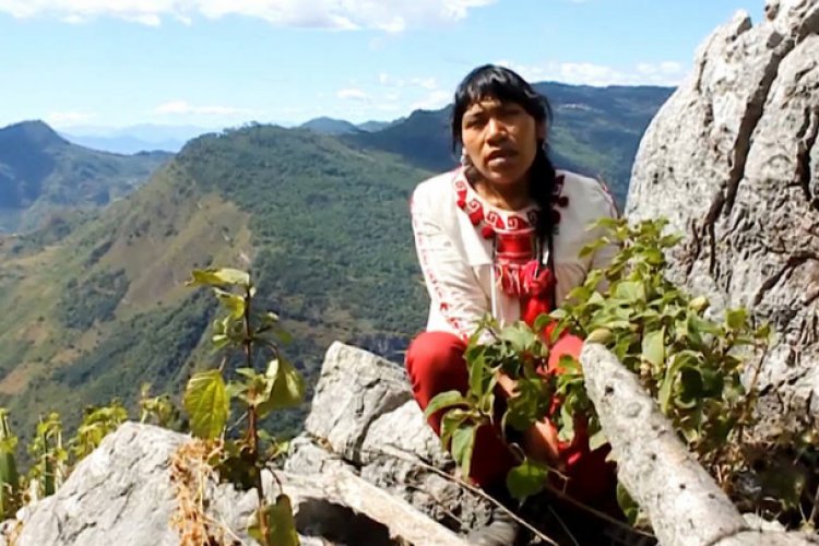 Buscaban a activista indígena desaparecida en Oaxaca