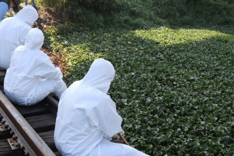 Cobupem realiza búsqueda de cuerpos en agua