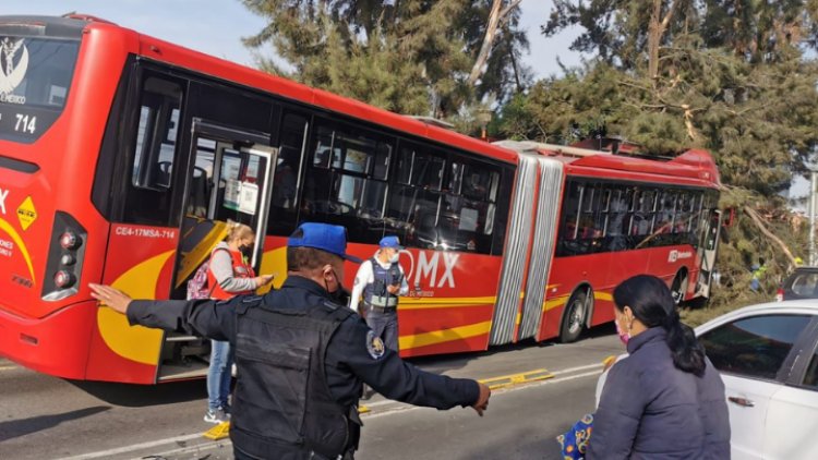 Impacta Metrobús contra árbol en GAM