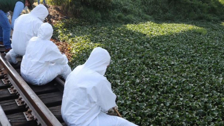 Cobupem realiza búsqueda de cuerpos en agua