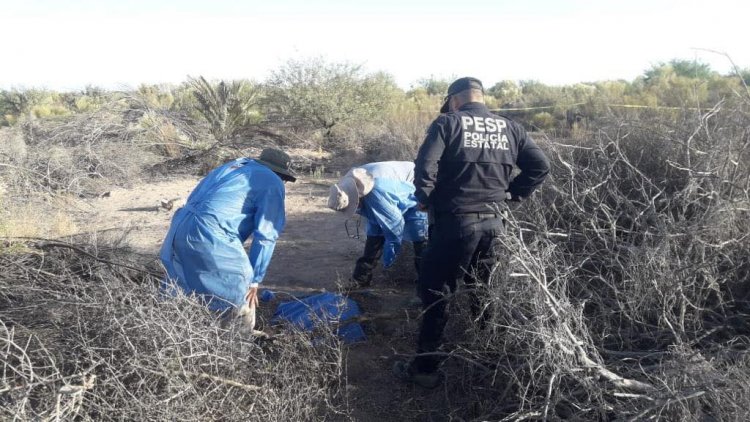 Hallan 14 fosas en Sonora con cuerpos calcinados